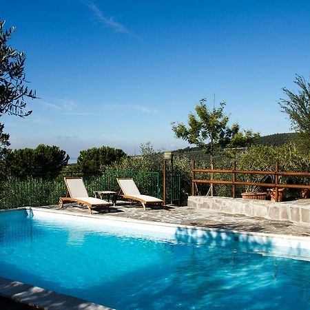 Genius Apartments San Savino  Exterior foto